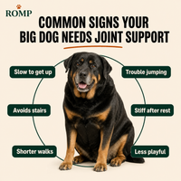 ROMP Hip & Joint Chews for Big Dogs