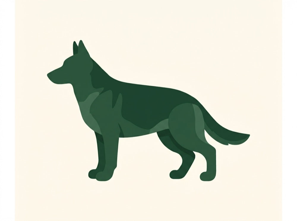 Illustration of a large dog showing the five places ROMP works