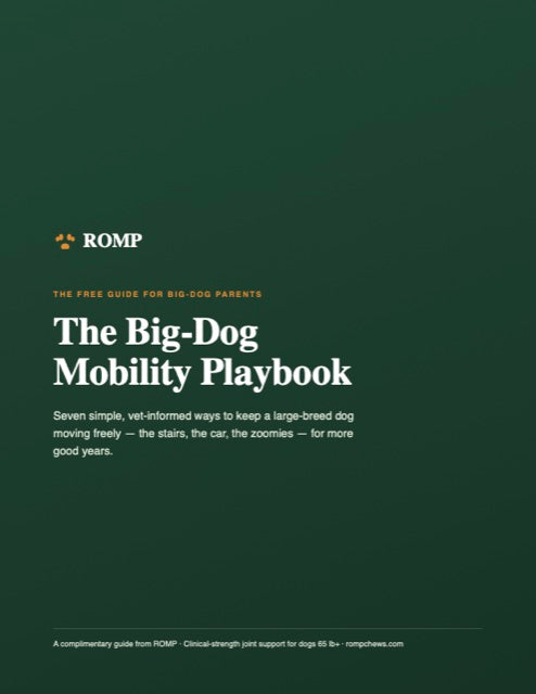 The Big-Dog Mobility Playbook — free PDF guide